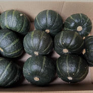 坊ちゃんかぼちゃ 12個入り ｜ 野菜/かぼちゃ 産直アウル 農家・漁師