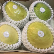 クール便〉※希少 赤レンブ 3kg (傷あり品) ｜ 果物/その他果物 産直