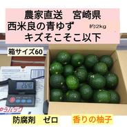 農家直送　宮崎県西米良の青ゆず　キズそこそこ以下　約2kg 2.0kg 果物や野菜などのお取り寄せ宅配食材通販産地直送アウル