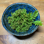 滋賀県産　花山椒、筍　ご予約、お問い合わせ窓口 京都産 花山椒 ｜ その他/食用花 産直アウル 農家・漁師など生産者から