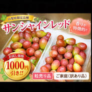 クール便】ぶどう【ブラックビート】1kg〜1.2kg前後(2〜3房)山梨県産
