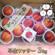 桃 スイートリッチ（プレミアムワッサー） 3kg ｜ 果物/もも 産直