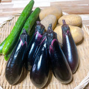 ズッキーニ1.8キロ ｜ 野菜/ズッキーニ 産直アウル 農家・漁師など生産