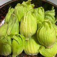 雪解けの天然フキノトウ「バッケ」 ｜ 野菜/山菜 産直アウル 農家