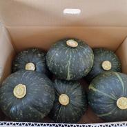 北海道森町産みやこかぼちゃ10kg ｜ 野菜/かぼちゃ 産直アウル