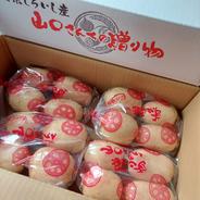 佐賀県しろいし産蓮根『山口さんちの贈り物』2kg(500g✕4袋) 2kg(500g✕4袋) 果物や野菜などのお取り寄せ宅配食材通販産地直送アウル