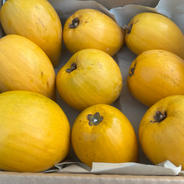 前田農園摘果マンゴー | 果物/マンゴー 産直アウル 農家から直接野菜