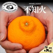家庭用 不知火 5キロ箱 （15玉から22玉入）デコポンと同じ品質 みかん