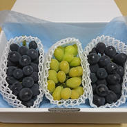 再々販【３種食べ比べ】 石鎚山の恵みBOX 1.5㎏ 果物や野菜などのお取り寄せ宅配食材通販産地直送アウル