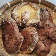 香信（こうしん）大葉 90g（30g✕3個）原木乾しいたけ 大分県国東産