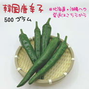 【北海道・沖縄専用】韓国唐辛子 約500g 宮崎産 青唐辛子 フレッシュ 収穫後農園から直送 約500g 果物や野菜などのお取り寄せ宅配食材通販産地直送アウル