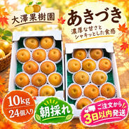 あきづき梨 12個入 大玉 5キロ箱 秀品 ｜ 果物/梨 産直アウル 農家