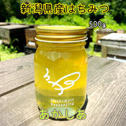 2024年新潟県産蜂蜜　あかしあ500g×2本セット 500g×2本 果物や野菜などのお取り寄せ宅配食材通販産地直送アウル