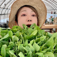 60サイズ箱に入るだけ [信州産] サラダで食べれる！野沢菜の菜花 60サイズ箱いっぱい！(1.7～1.8kg) 果物や野菜などのお取り寄せ宅配食材通販産地直送アウル