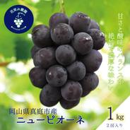 P-1 花笑み農園　岡山の『ニューピオーネ』１ｋｇ（２房）【9/6～順次発送】 １ｋｇ（２房入り） 果物や野菜などのお取り寄せ宅配食材通販産地直送アウル