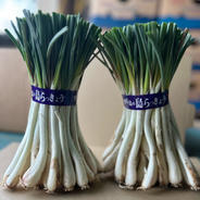 農家直送】沖縄 伊江島特産島らっきょう500g ｜ 野菜/その他野菜 産直