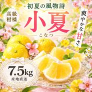 【ꕤ449】はるか『訳あり品』現品で終了‼ 熊本みかん（20kg） ꕤ449】はるか『訳あり品』現品で終了‼ 熊本みかん（20kg） - メルカリ