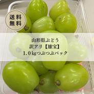 訳あり！スレ傷うめちゃん山形県産白加賀梅2キロ ｜ 果物/青梅 産直