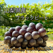 おまとめお買い得！クール便山梨県産シャインマスカット5k✖︎２ケース クール便指定【すぐ発送！💚朝採れ山梨シャインマスカット】2キロ 3