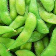 千葉県房総産　ぷりっぷり枝豆1kg 1kg 果物や野菜などのお取り寄せ宅配食材通販産地直送アウル