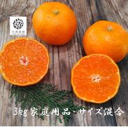 有田・庄助みかん約3kgご家庭(2S～Lサイズ混合) 温州みかん家庭用サイズ混合約3kg 果物や野菜などのお取り寄せ宅配食材通販産地直送アウル
