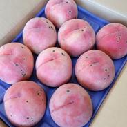 桃 訳あり 約3kg（7～12個） 福島県産 約3kg（7～12個） 果物や野菜などのお取り寄せ宅配食材通販産地直送アウル