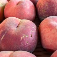 山形の夏ギフト・希少桃「陽夏妃」2kg 香り高く贈り物に喜ばれる逸品