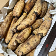 能登野菜】神子原くわい(ミニ)2kg | 野菜/その他野菜 産直アウル 農家