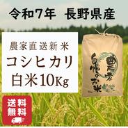 白米】コシヒカリ 10Kg 送料無料 令和7年 長野県産 新米 ｜ 米・穀物
