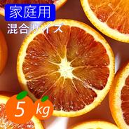 【家庭用】ブラッドオレンジ 5kg 鮮やかな赤い果肉！希少柑橘♫ 5kg(箱込み) 果物や野菜などのお取り寄せ宅配食材通販産地直送アウル