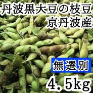 10/25頃発送【訳アリ】無選別 4.5kg 黒豆の枝豆 京丹波産　黒枝豆　アサイファーム　えだまめ 枝豆無選別 4.5kg 果物や野菜などのお取り寄せ宅配食材通販産地直送アウル