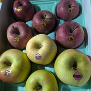 青森県幻の林檎！高徳 | 果物/りんご 産直アウル 農家から直接野菜など