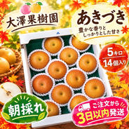 梨 幸水 秀品 5キロ 10個入 ｜ 果物/梨 産直アウル 農家・漁師など生産
