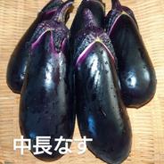 激暑に耐える中長ナス 中長ナス8〜10本前後 果物や野菜などのお取り寄せ宅配食材通販産地直送アウル