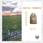 R7年産特別栽培米 彩のかがやき 10kg ｜ 米・穀物/米/精米 産直アウル