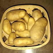 【新じゃが】皮までおいしいメークイン！ じゃがいも10kg 果物や野菜などのお取り寄せ宅配食材通販産地直送アウル