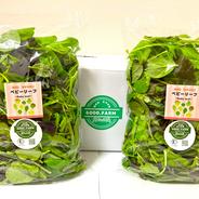 【まずはお試しに】有機JASベビーリーフMix　200g×2パック(400g) 400g(200g×2パック) 果物や野菜などのお取り寄せ宅配食材通販産地直送アウル