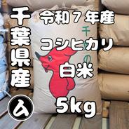 千葉県産 令和7年産 コシヒカリ 白米 20kg ｜ 米・穀物/米/精米 産直