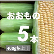 和歌山県産 おおもの ヤングコーン 100本 ｜ 野菜/とうもろこし 産直