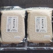 2025年産もち米（モチミノリ）4.2kg 白米 ｜ 米・穀物/もち米 産直