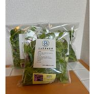 ドラゴンマルシェのレタス＆ベビーリーフサラダ 約210g（70g×３袋） 果物や野菜などのお取り寄せ宅配食材通販産地直送アウル