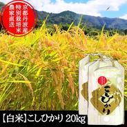 玄米】 コシヒカリ 20kg 特別栽培米 京都府産 こしひかり ｜ 米・穀物