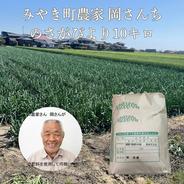 令和7年産米 しあわせまっしぐら（青森県産まっしぐら）10kg 真空包装