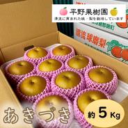 清流球磨梨・あきづき　5kg箱(5〜14個入り) 約5kg 果物や野菜などのお取り寄せ宅配食材通販産地直送アウル