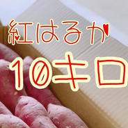 さつまいも 紅はるか 10kg 9.5kg 果物や野菜などのお取り寄せ宅配食材通販産地直送アウル