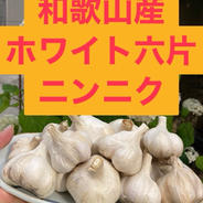 和歌山産　ホワイト六片ニンニク 1.0キロ 果物や野菜などのお取り寄せ宅配食材通販産地直送アウル