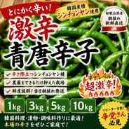 和歌山県産】韓国種 激辛 青唐辛子 3kg ｜ 野菜/スパイス 産直アウル