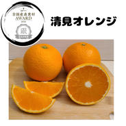 木下さんちの甘平【家庭用2.5キロ】 ｜ 果物/オレンジ・その他みかん