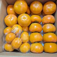 大きな江戸柿【送料500円引き】和歌山県産 吊るし柿用渋柿 ｜ 果物/柿