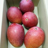 宮崎の太陽をたっぷり浴びて育った完熟マンゴー。とろける甘さと濃厚な
